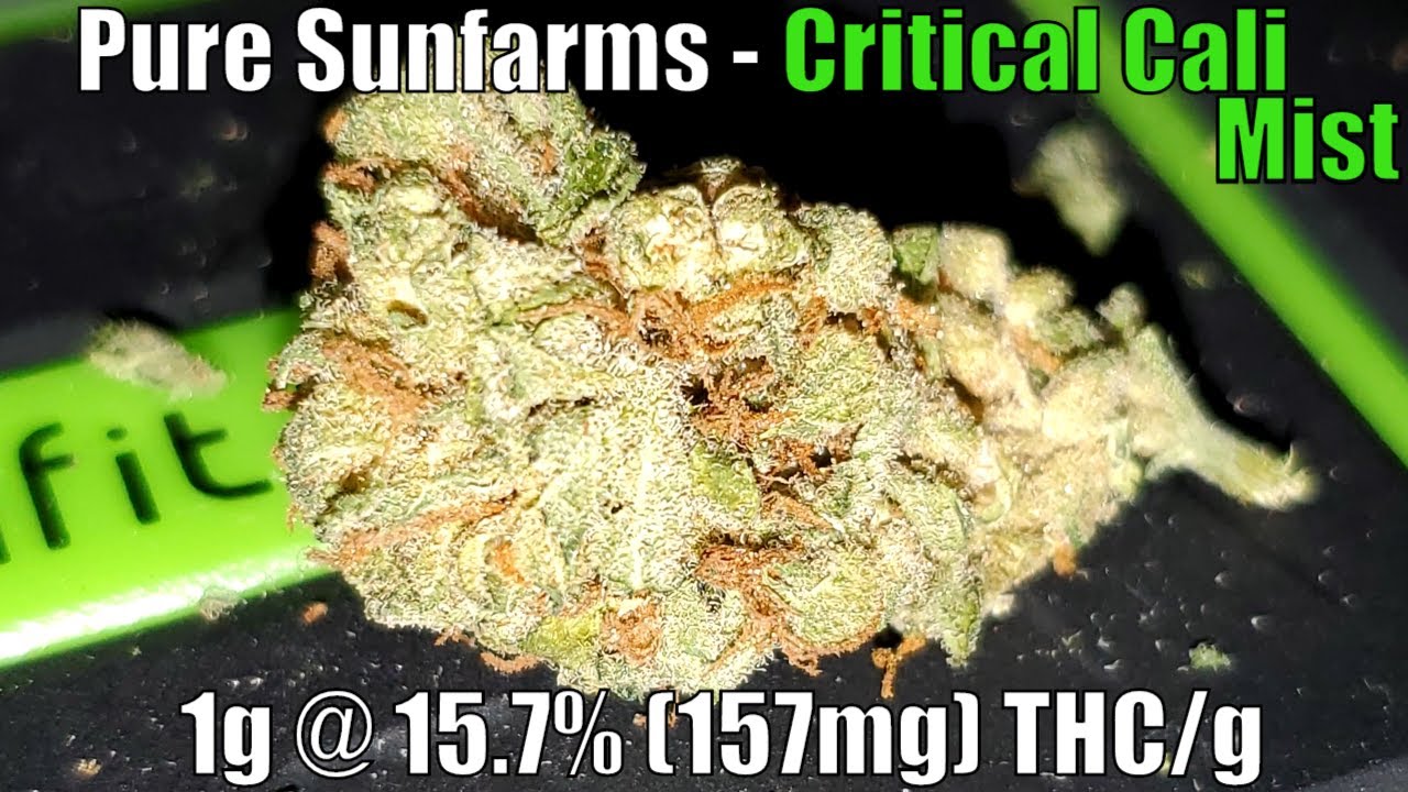 Pure Sun Farms - Critical Cali Mist Unboxing Review - 1g @ 15.7% (157mg) THC/g (+Extreme Closeups)
