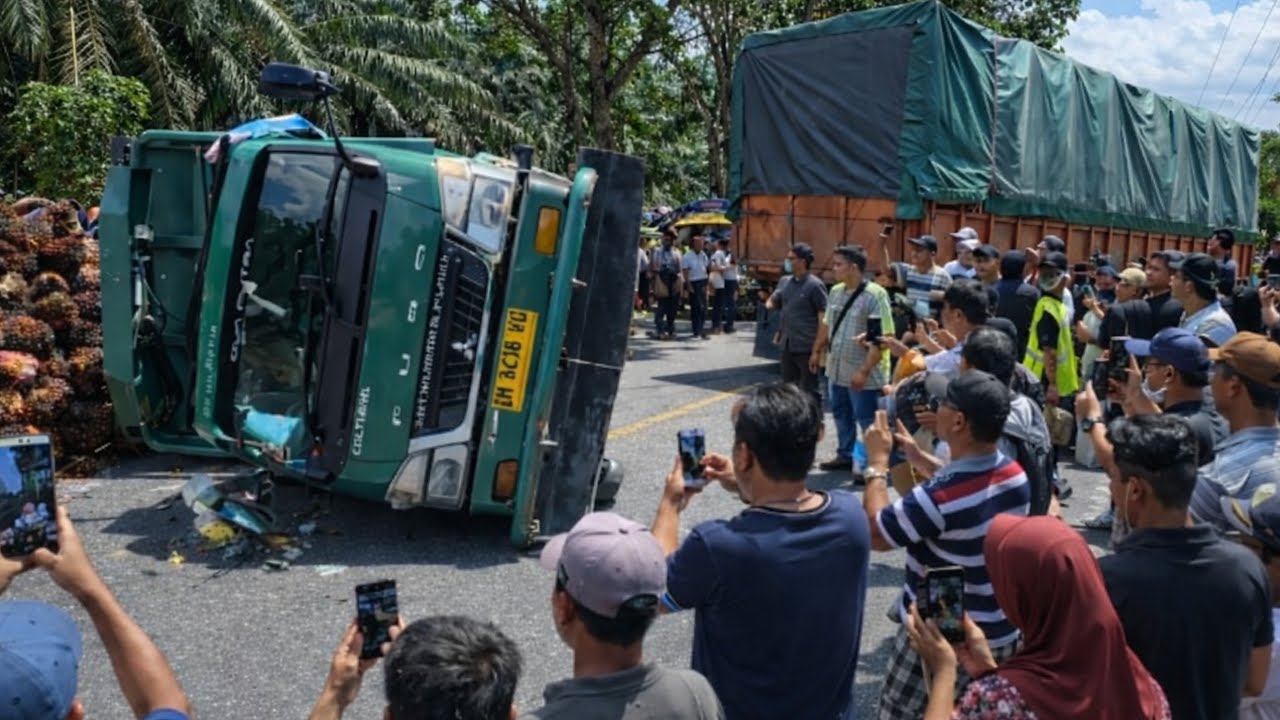 Ngeri || Truk Bermuatan Sawit Terguling Muatan Berserakan Di Aspal 