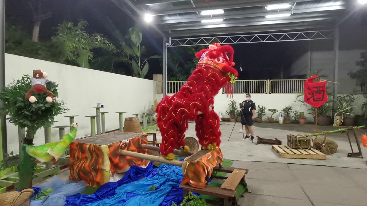 马来西亚甲洞弘德体育会 Lion legacy 狮承杯 国际传统狮艺文化推广大赛 （网络大赛）