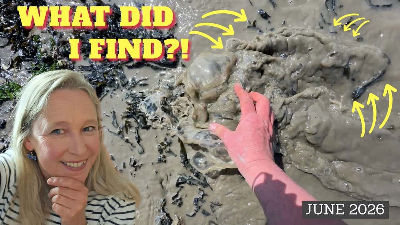 This Victorian Message Was Hiding in the Mud & Stopped Me in My Tracks! It's over 150 Years Old!