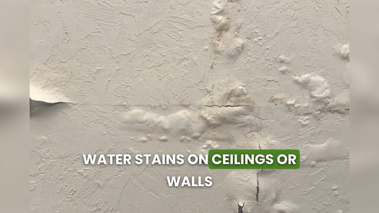 Signs Your Home Has Hidden Mold After Water Damage