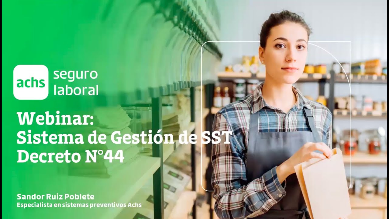 Sistema de gesti&oacute;n de SST DS44