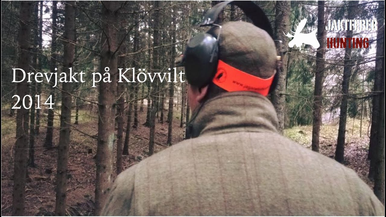 JAKTFEBER Drevjakt p&aring; kl&ouml;vvilt 2014.