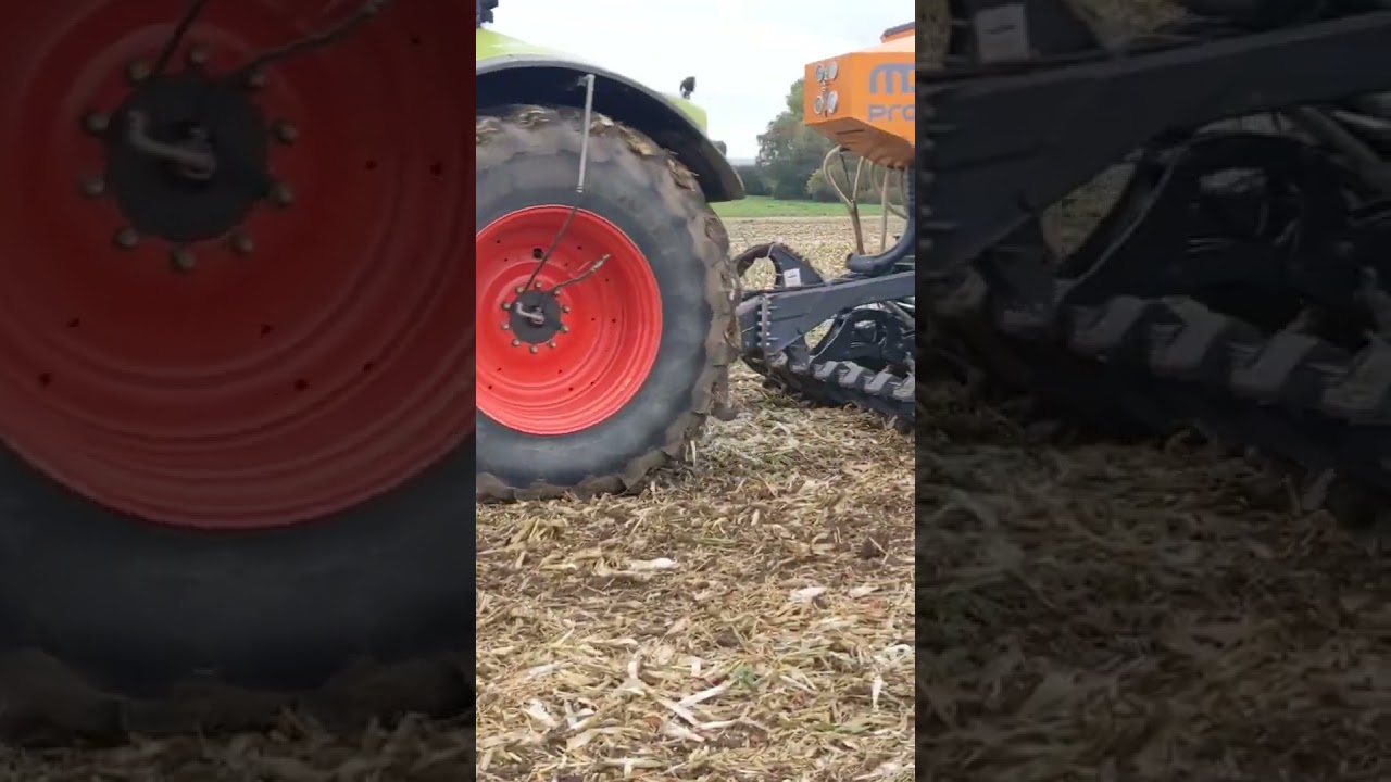 Mzuri Strip Till in Körnermais Stroh