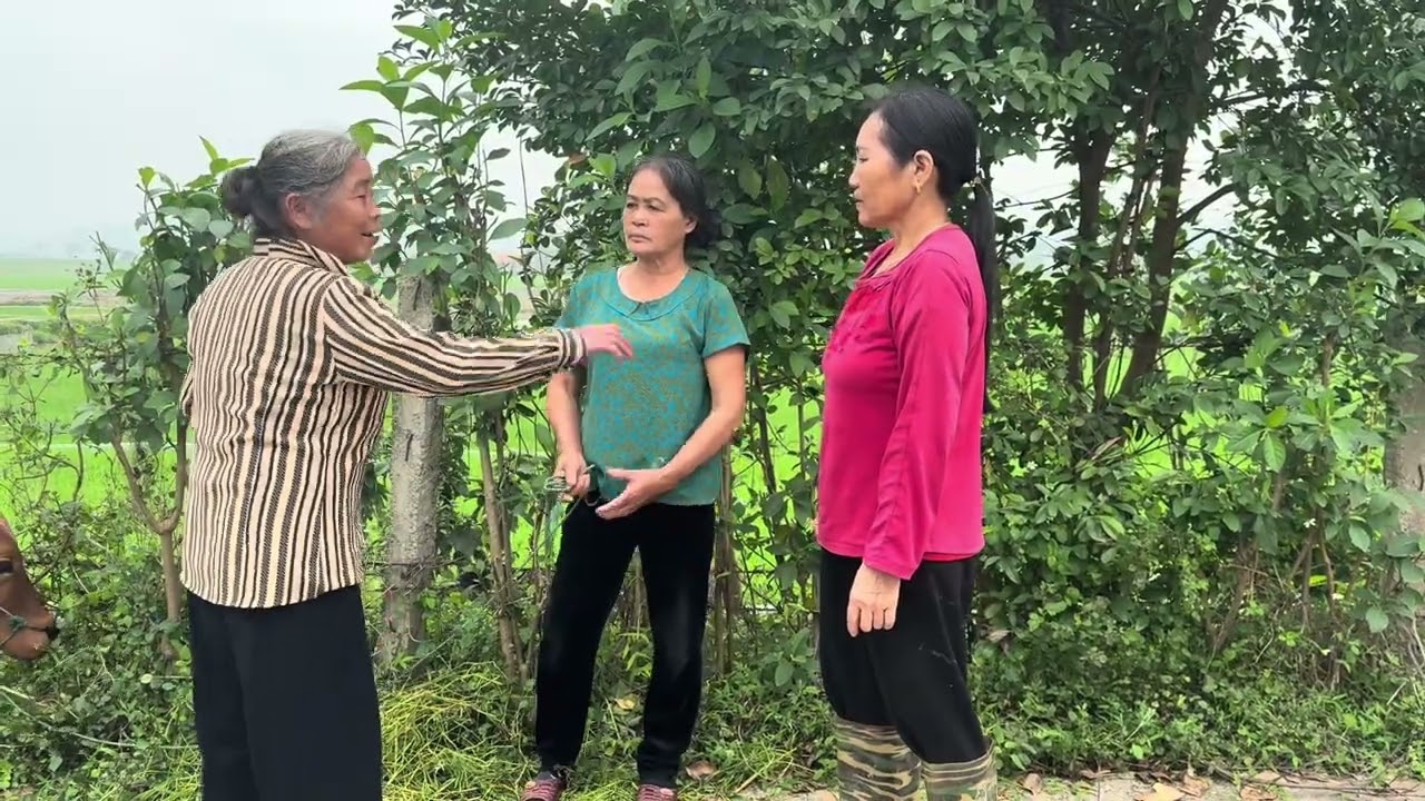 Thấy bà quế đen mụ đôi đổ hết tội cho toàn bắt toàn bôi thương cho ba quyển không la đi ca lũ