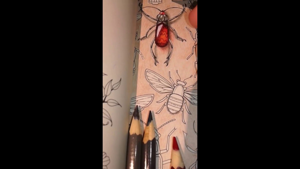 Gem Bugs colouring -3 |How to colour gem bugs in SecretGarden by Johanna Basford