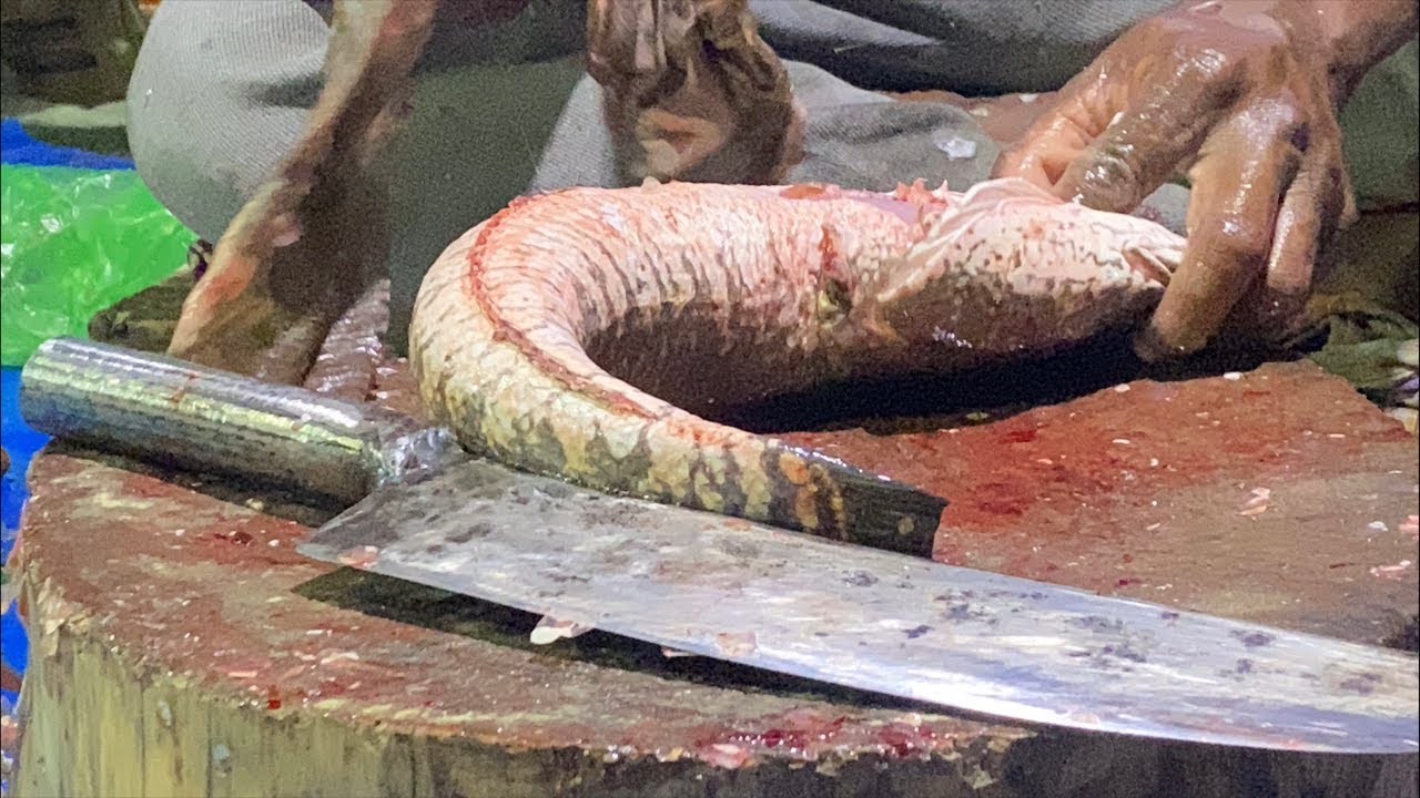 Amazing Big Fish Cutting Skills Live! 🐟🔪 | Perfect Slice BD ✨