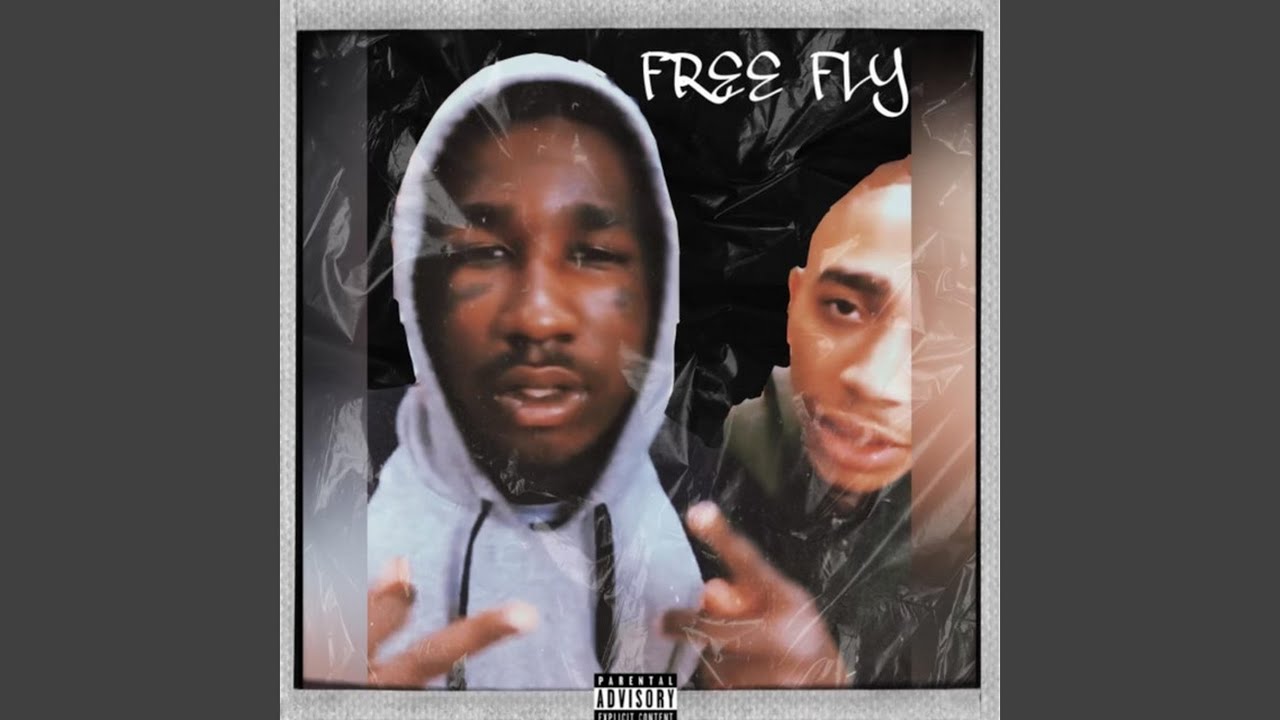 Free Fly