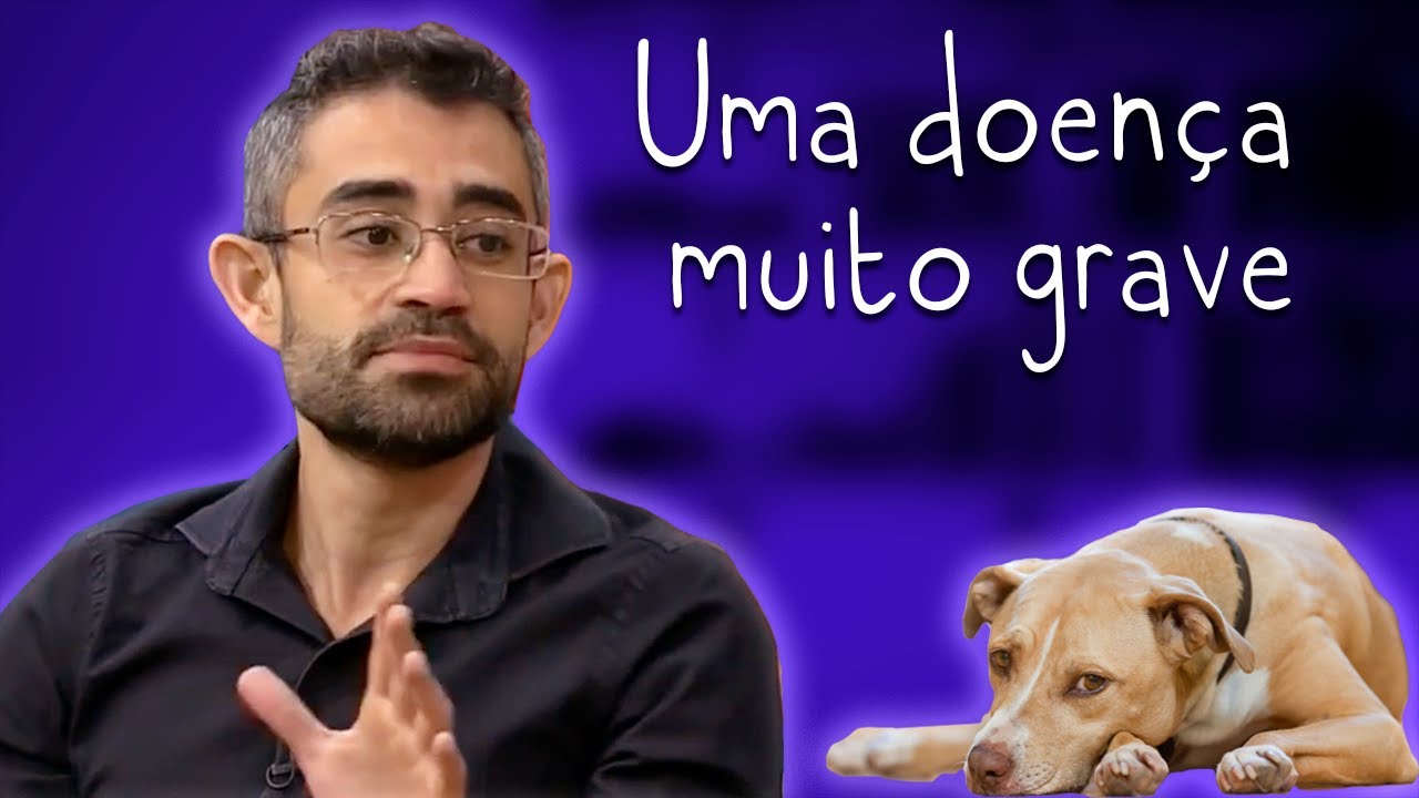 Cinomose: Transmissão, sintomas, diagnóstico e prevenção - Entrevista na TV Aparecida