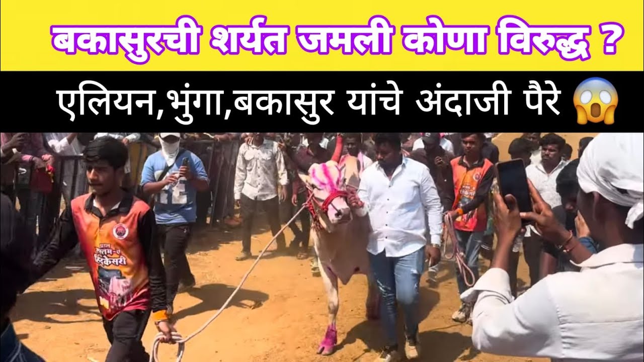 बकासुरची शर्यत जमली कोणा विरुद्ध ? भुंगा, एलियन,बकासुर यांचे अंदाजी पैरे 😱 #बकासुर