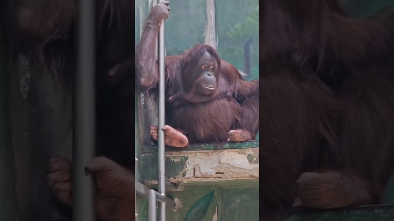 ZOO Bojnice