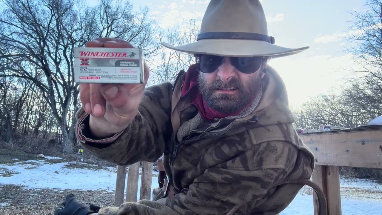 .22 Magnum sixgun performance 