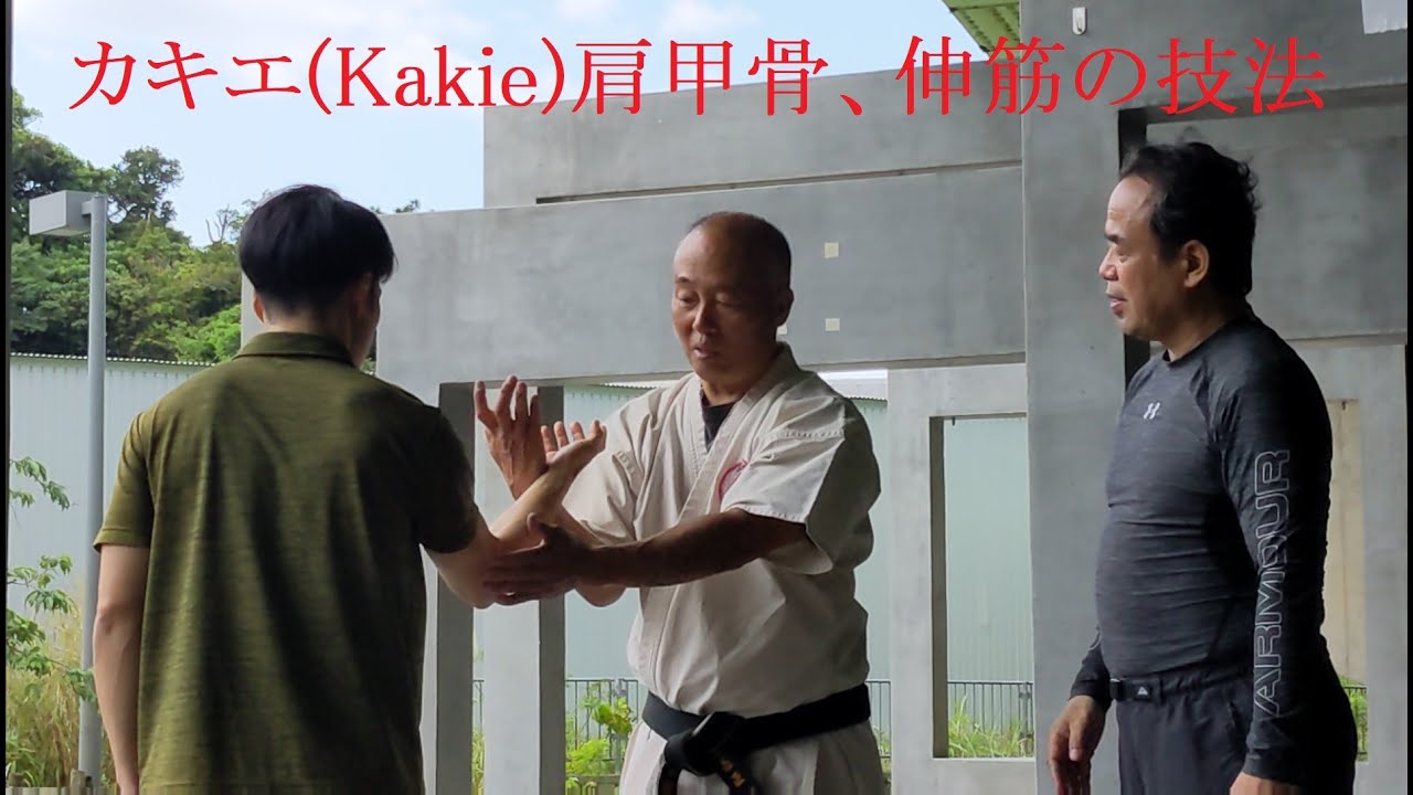 首里少林流 Syorin Ryu Karate カキエの稽古（肩甲骨、伸筋、体の裏側の筋肉骨の使い方）