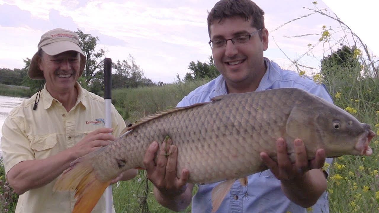 Boatless Angler - How to Catch Carp Using a Pre-Tied Bait Rig