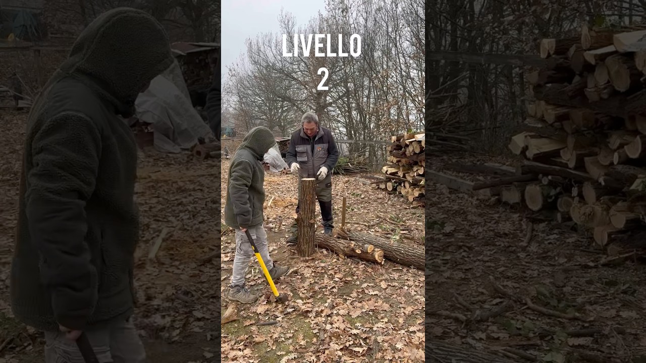Gli spaccalegna livello 2 #wildlife #nonno #nipote #woodworking #autosuffisance