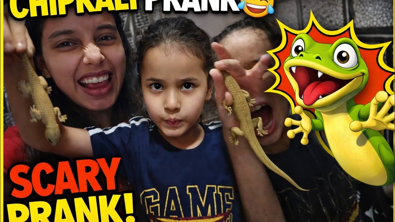 Aaj humne kiya ek funny Chipkali Prank 🦎😂 Reaction dekh kar hasi ruk hi nahi rahi! 😂😂