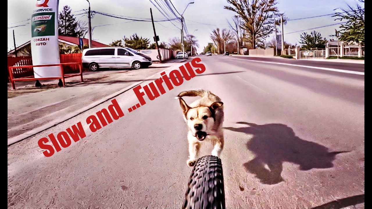 1 Mai pe bicicletă | Galaţi - Tuluceşti fun bike ride