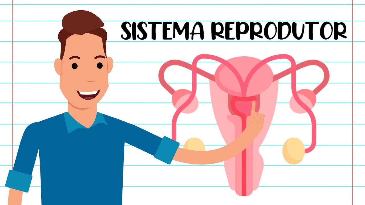 RESUMO - SISTEMA REPRODUTOR