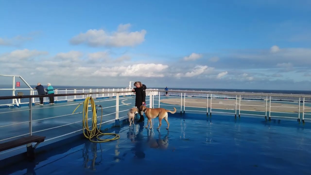 Pont Aven Ferry Pet Kennels Deck