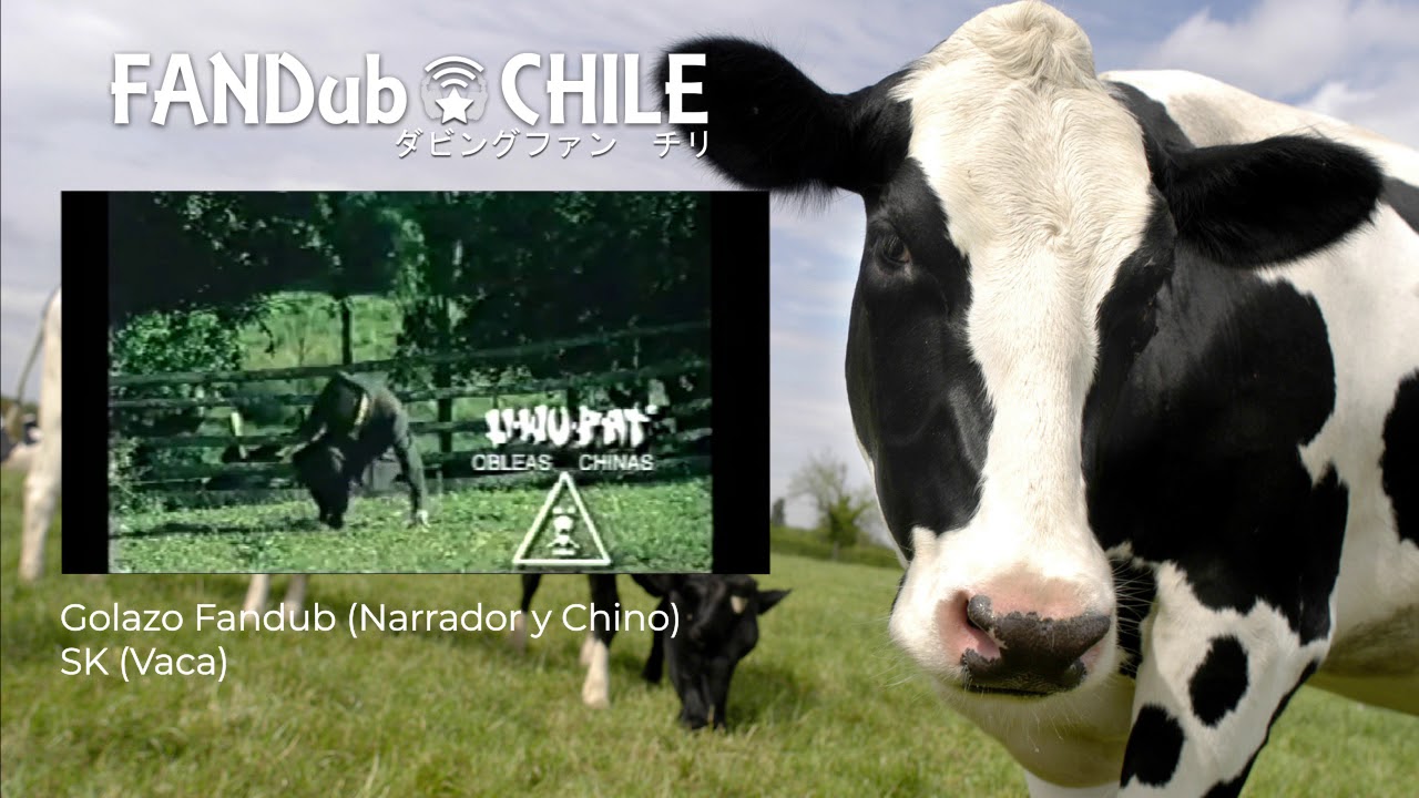 【V Aniversario FDCH】 Parodia de comercial: Obleas Chinas 【Alianza Occidente】