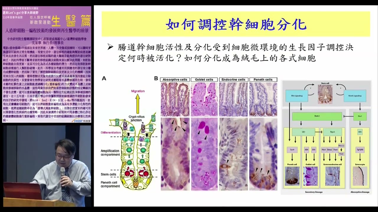 人造幹細胞-編程技術的發展與再生醫療的前景
