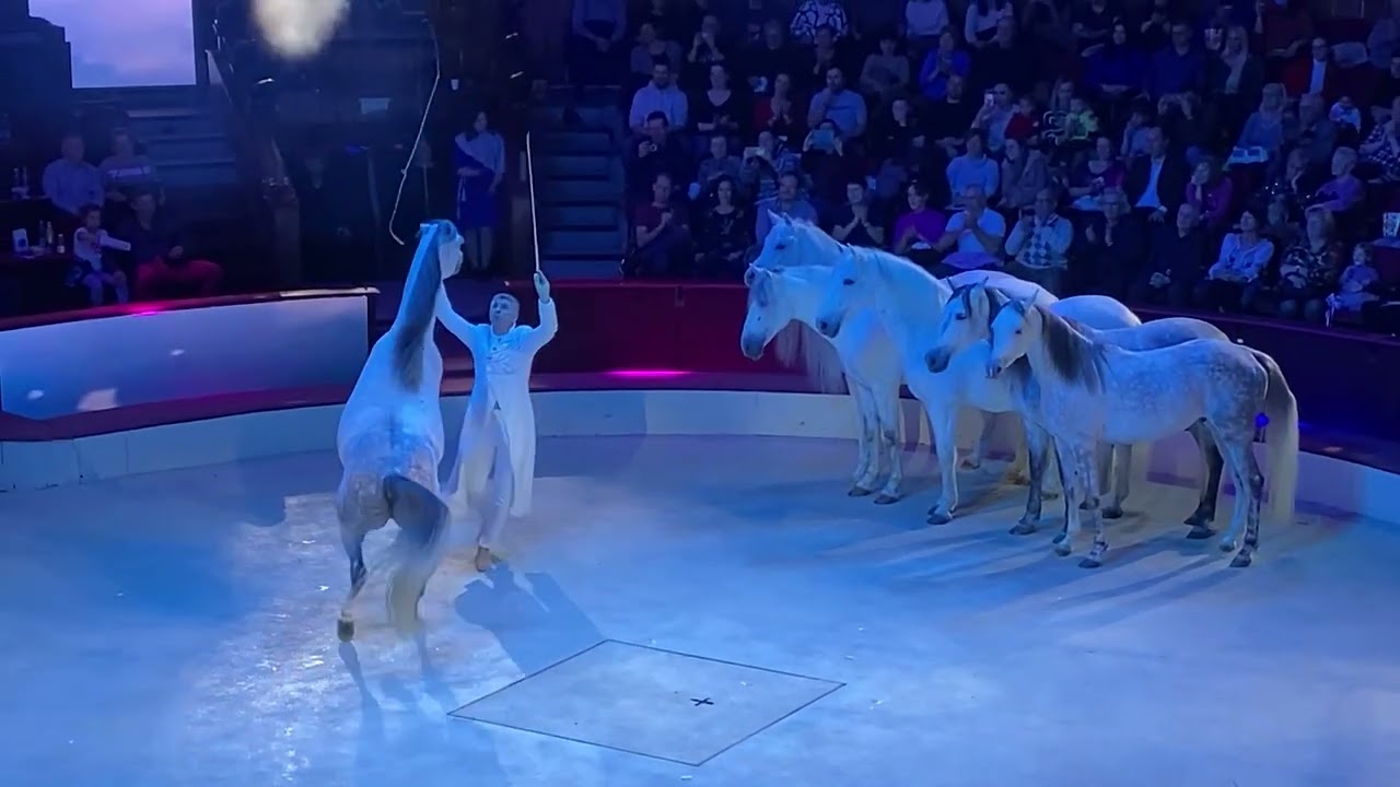 2024.01.11.15.Cirkuszfesztivál-Budapest-ALEX GIONA-video-4-Paál László