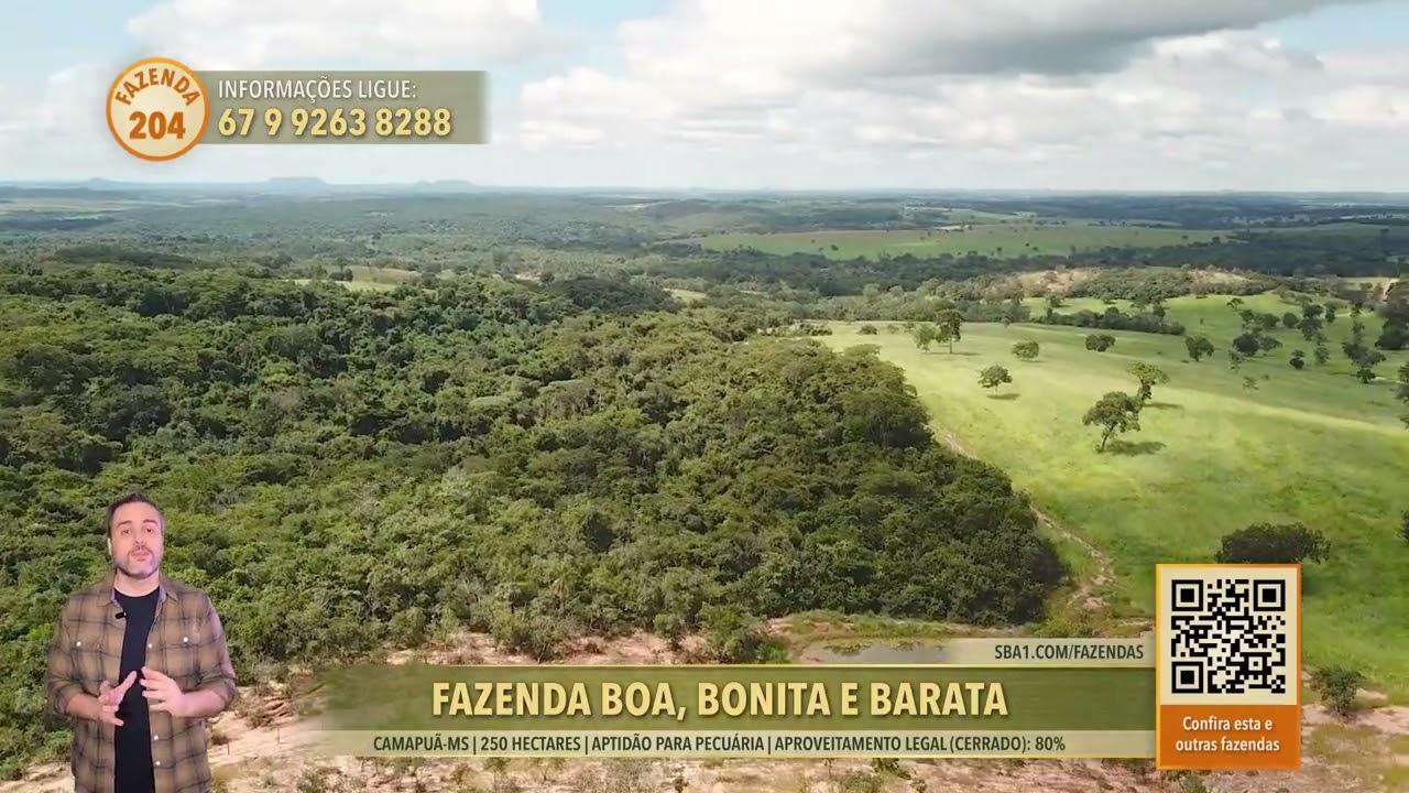 Fazenda à venda em Camapuã/MS 250 ha
