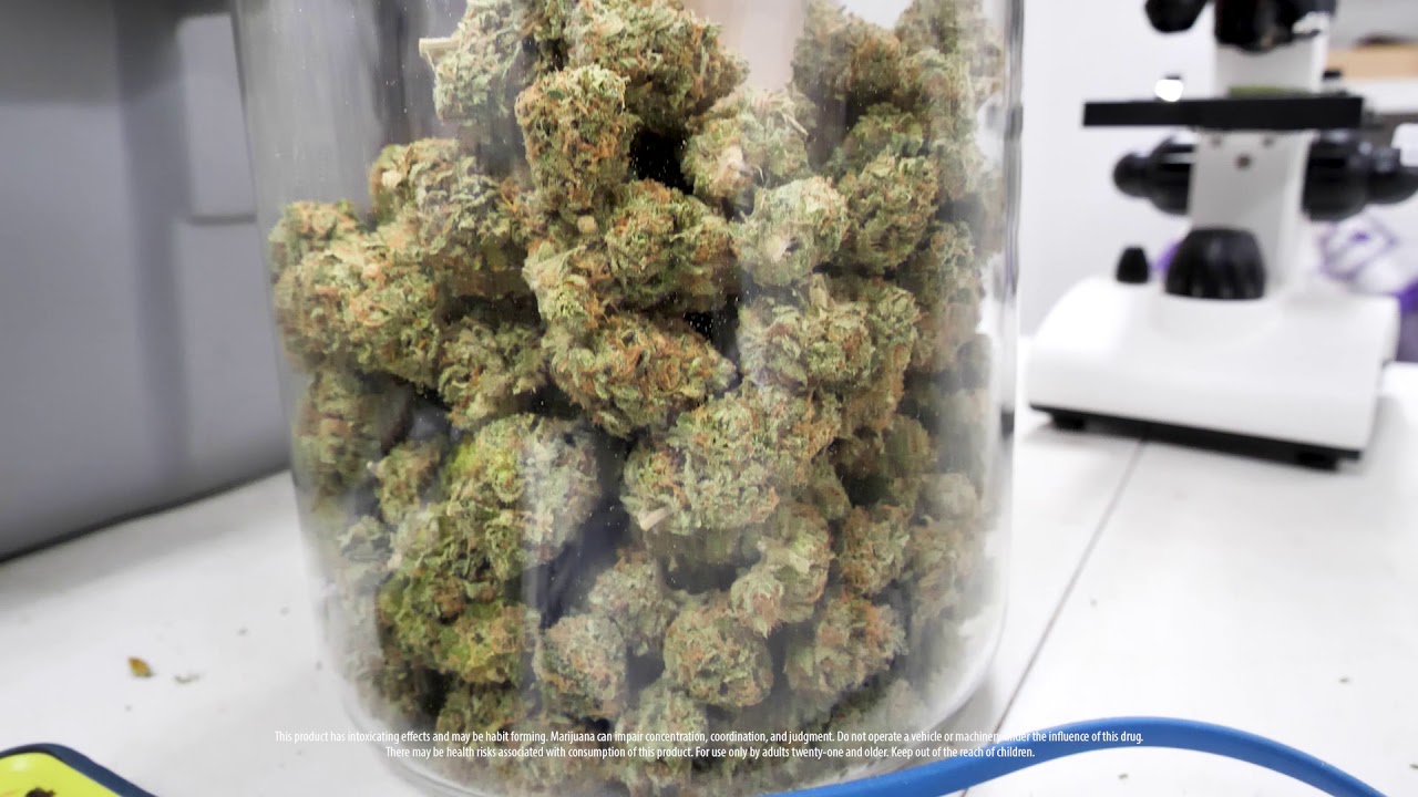 Weed Farm Tour | Good Good Garden