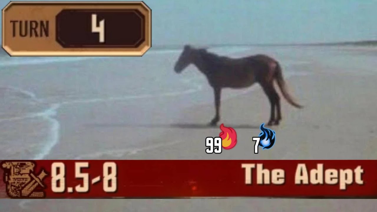 8.5-8 in 4 turns with Burn [Limbus Company]