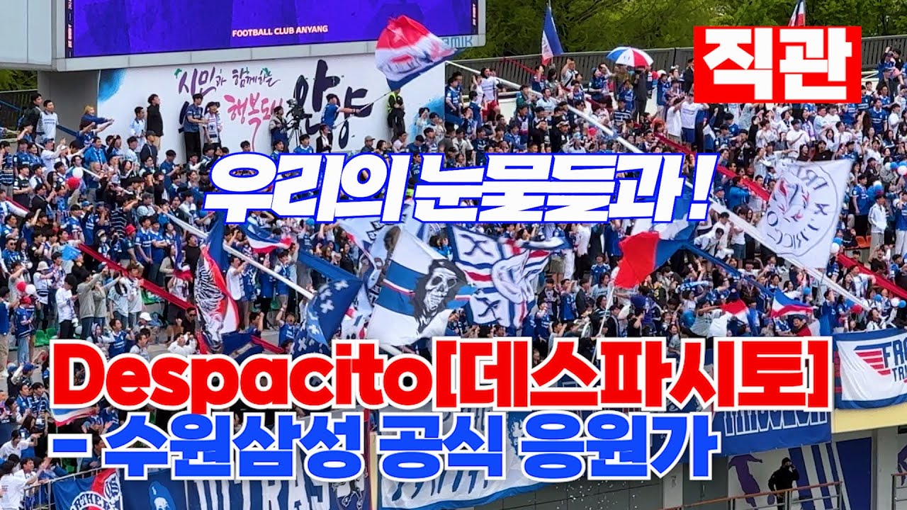 [구독자 요청]수원 삼성 응원가 데스파시토 Despacito 현장음 풀 버전