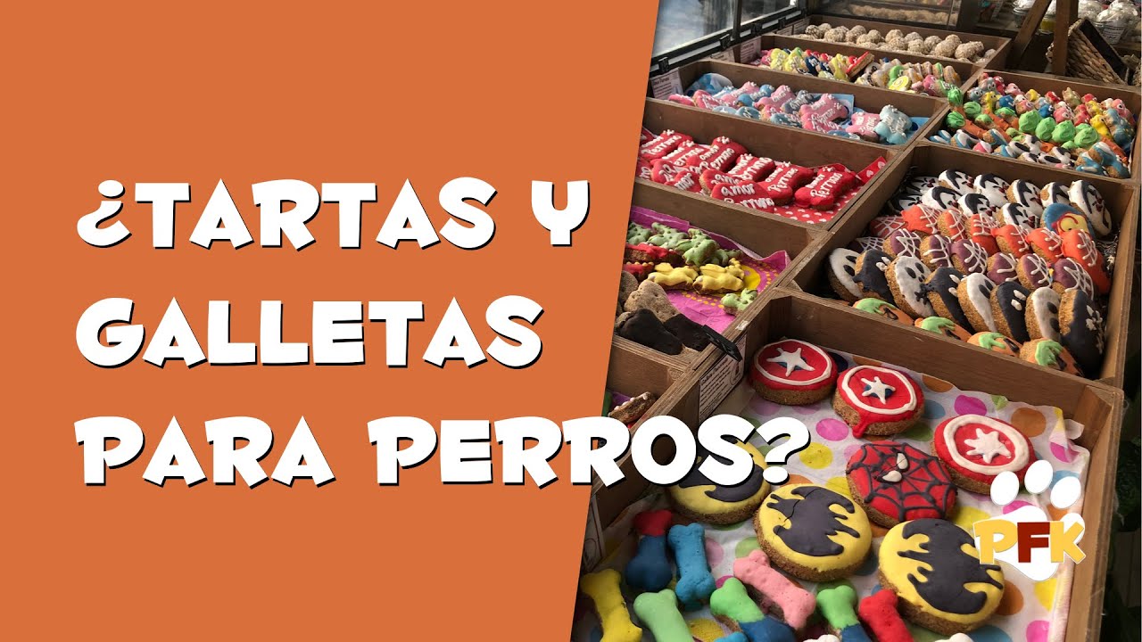 GALLETA NATURALES PARA PERRO - PETS FAMILY KIDS