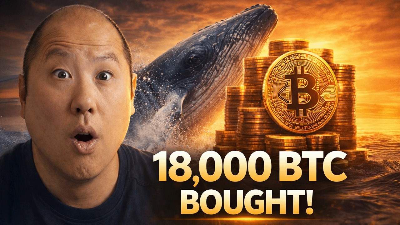 Этот крупный игрок на рынке биткоинов только что купил 18 000 BTC.