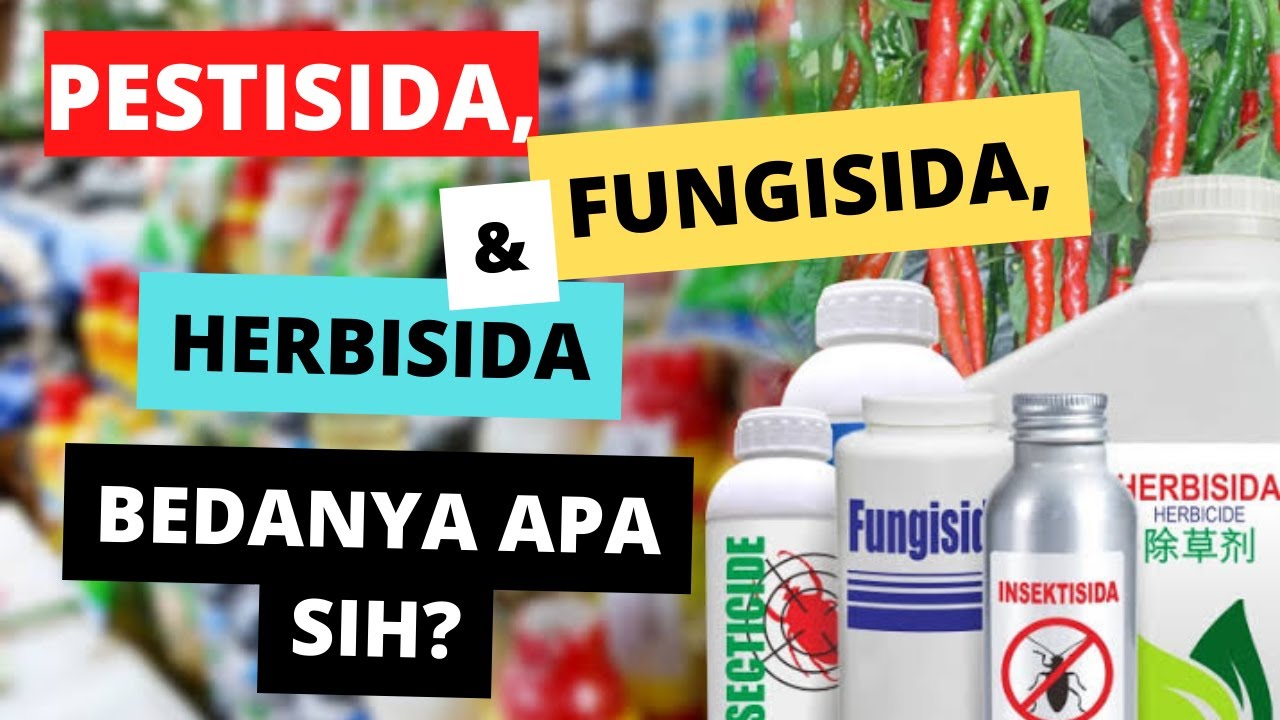 Apa Sih Perbedaan Pestisida, Insektisida, Fungisida, & Herbisida