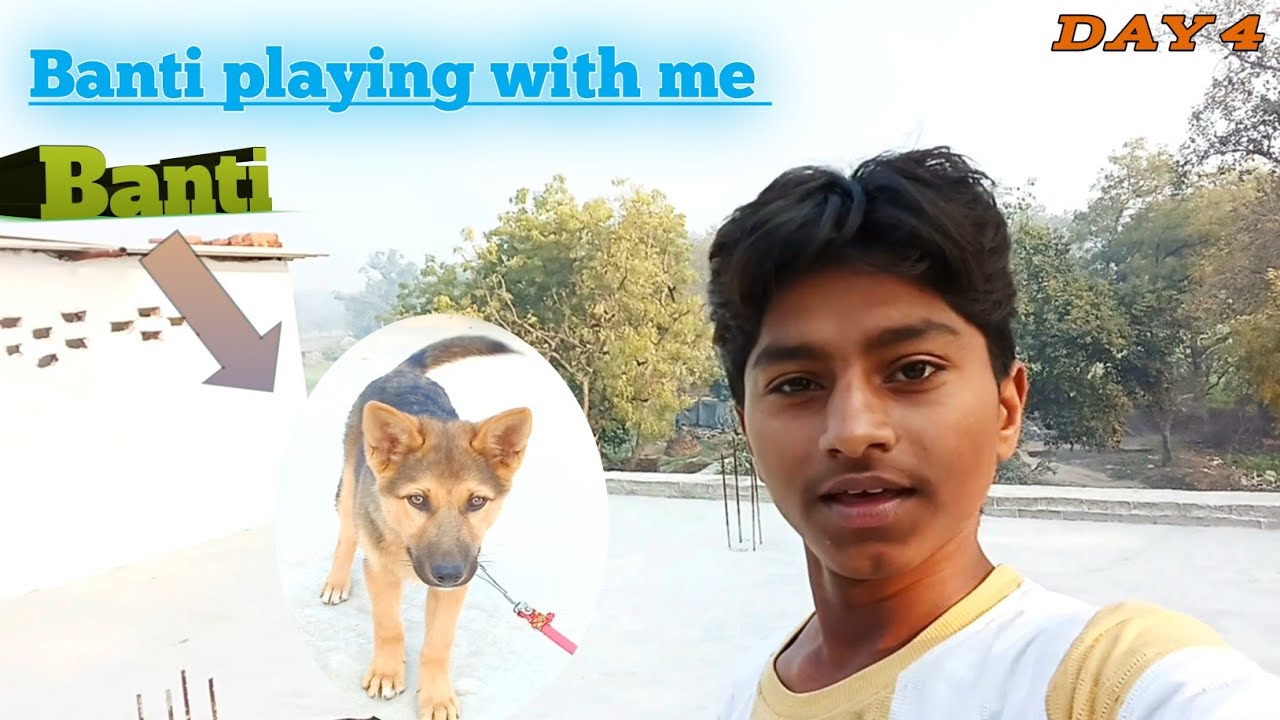 Banti is playing with me 😍 my New vlog 🙏
