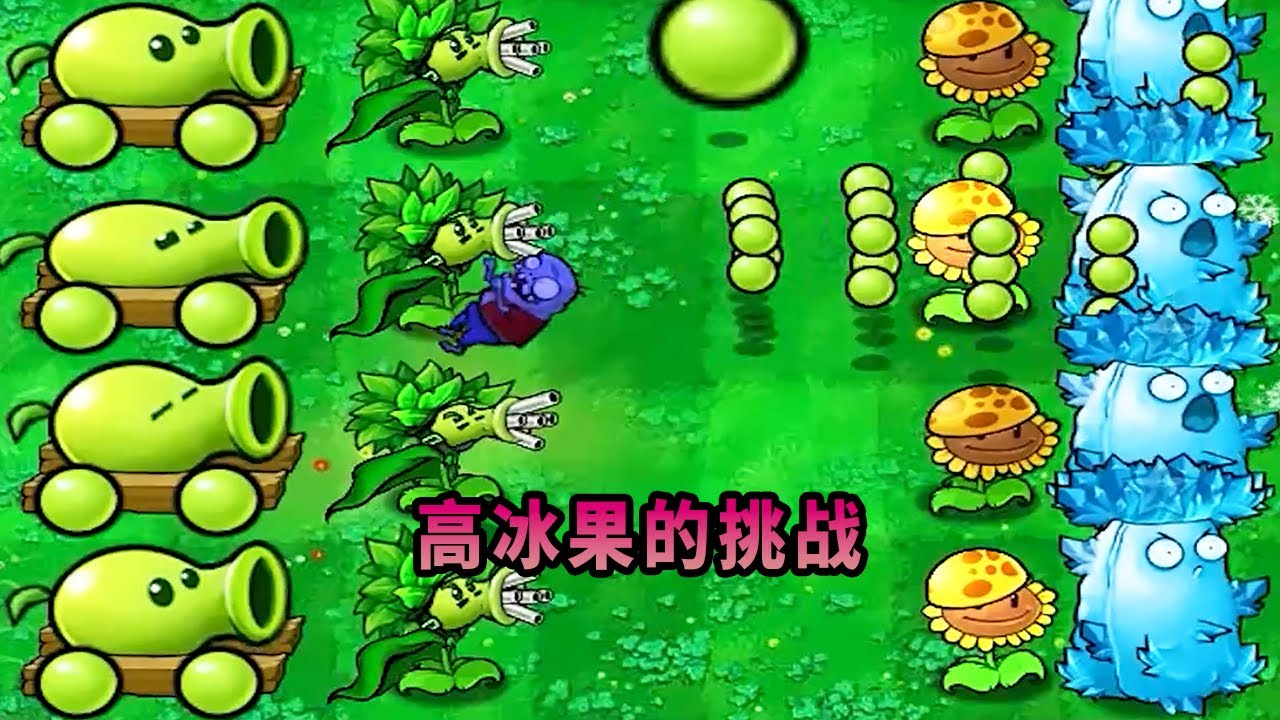 【植物大戰僵尸】高冰果的挑戰！