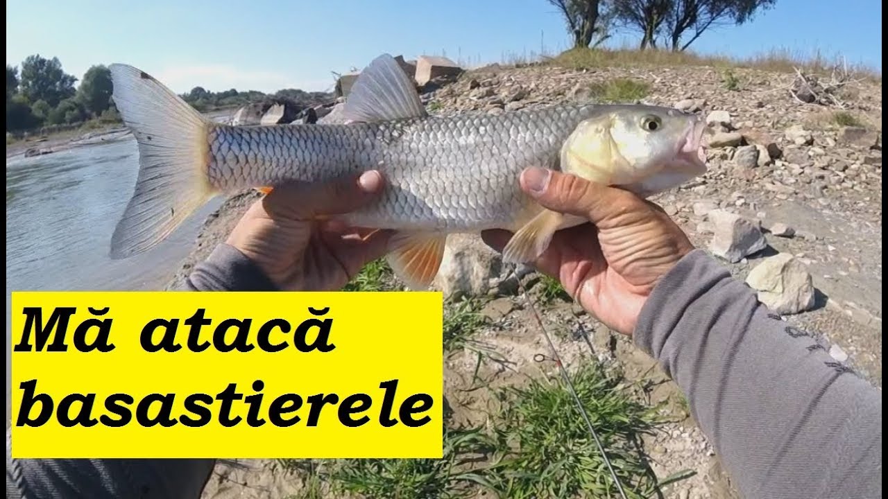 Cursa contra cronometru dupa un clean frumos.