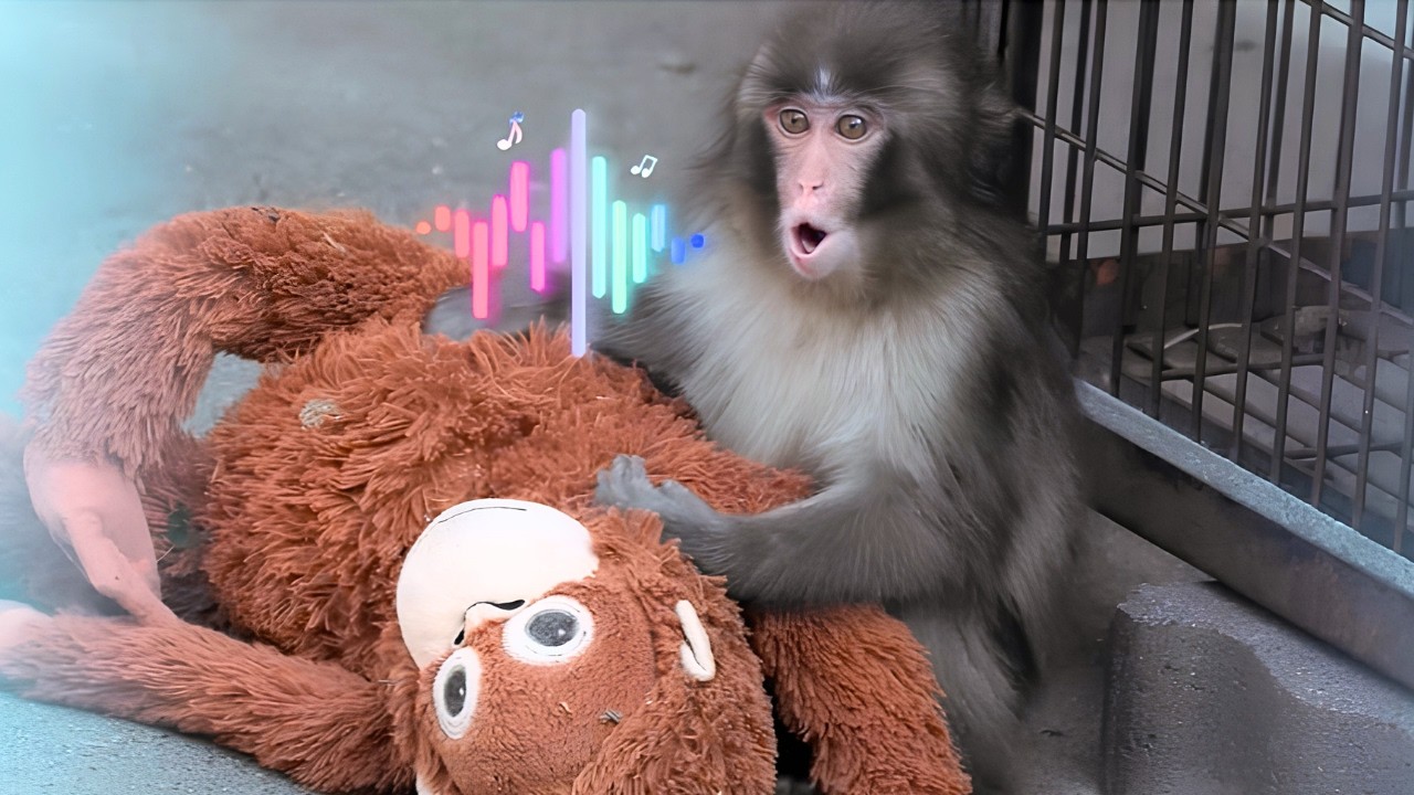 We Recorded Baby Monkey Punch&rsquo;s REAL Voice (His Reaction is PRICELESS!) 😲