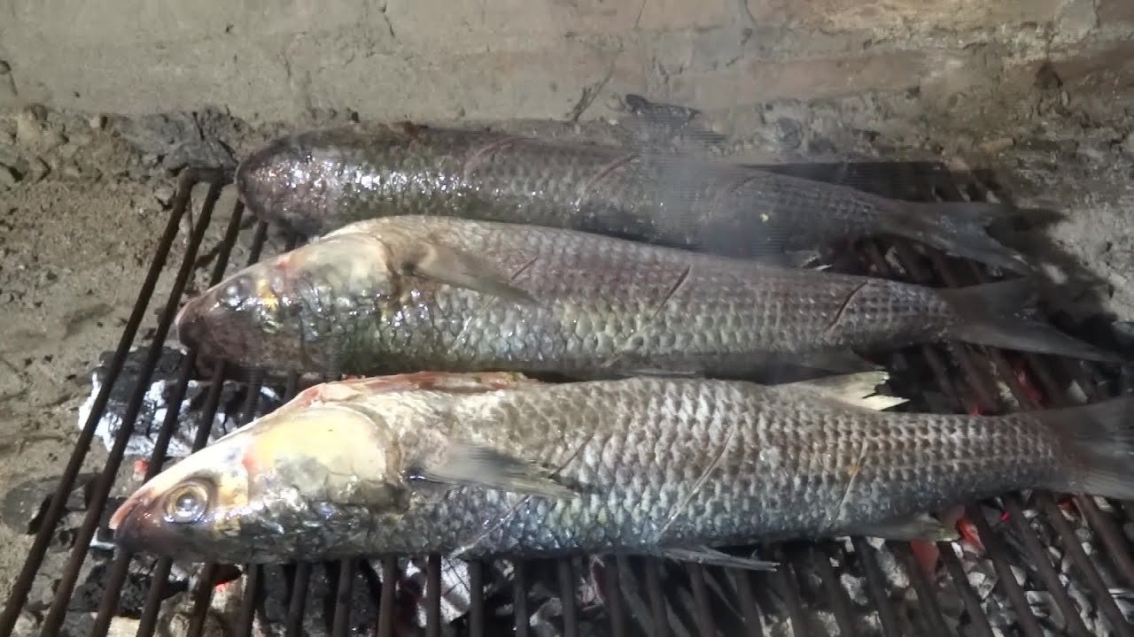 KAKO ISPEĆI VEĆU RIBU NA GRADELE (ROŠTILJU) /  CIPOLI  / CIPLI OD 900 G | RECEPT