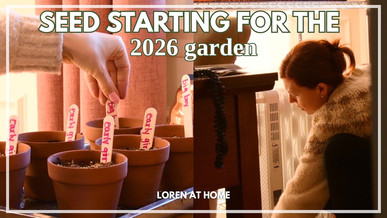 A Quiet Dream of Spring - Seed Starting for 2026