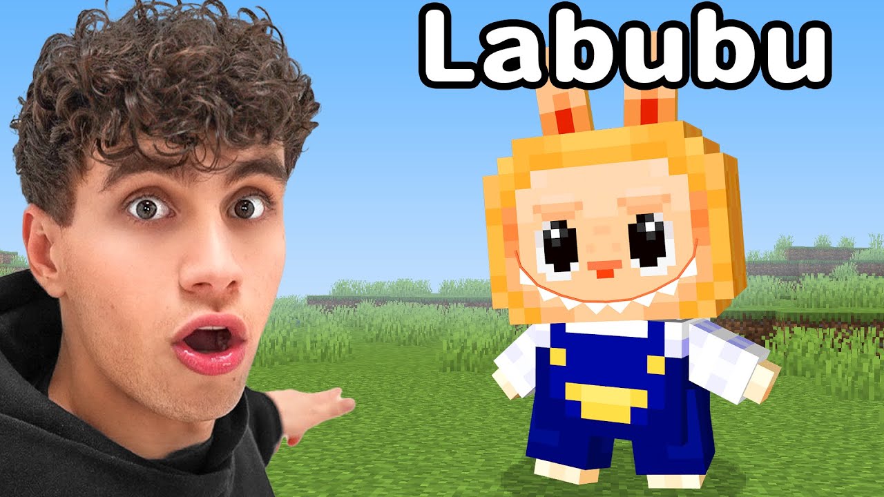 Valsspelen Met Labubu's In Een Gevecht