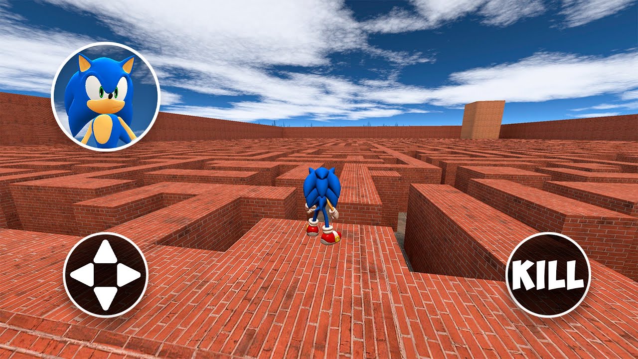 I Became SONIC in the Garry's Mod MAZE! 🏃‍♂️💨