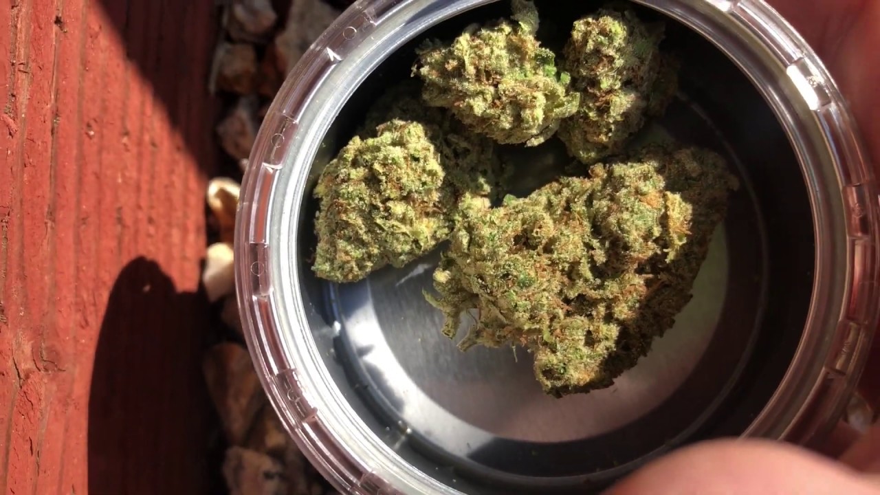 Lucky Lemons 30% THC tin opening
