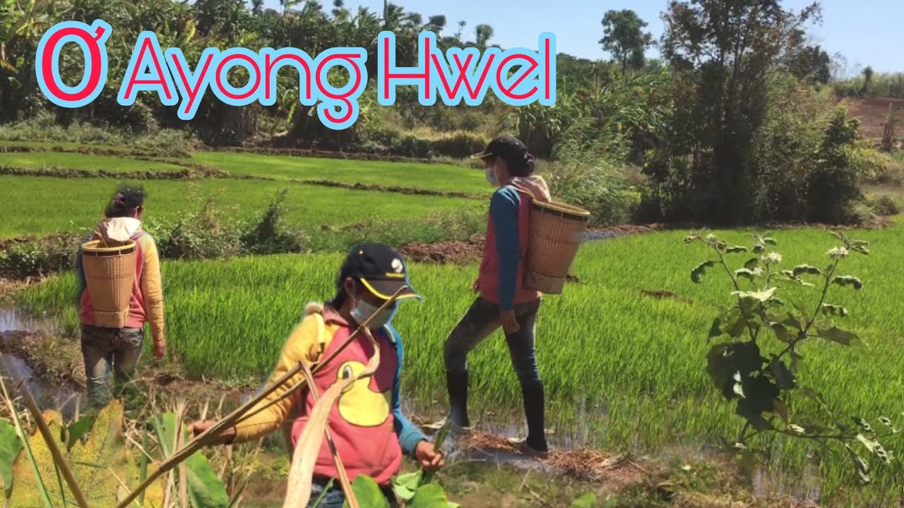 Toloi Adoh jrai - Ơ ayong hwel hơi @SIUNANPTP