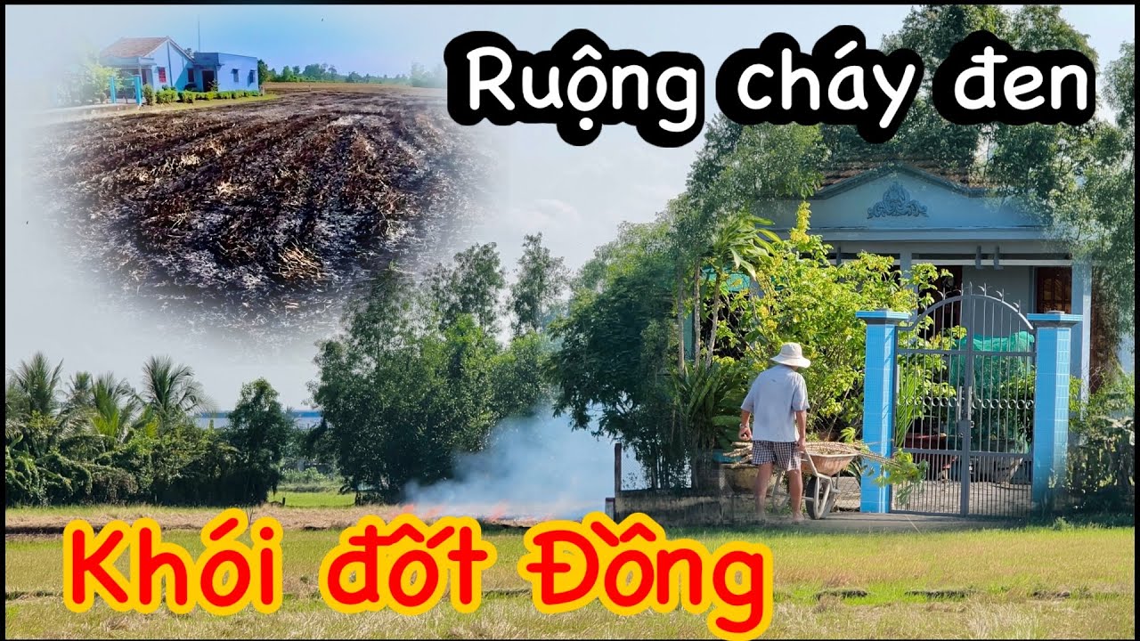 Xứ Gạo Nàng Thơm Long An – Đường quê bình yên đầu tháng 3