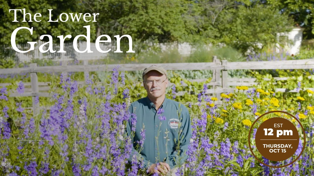 Live in the Lower Garden