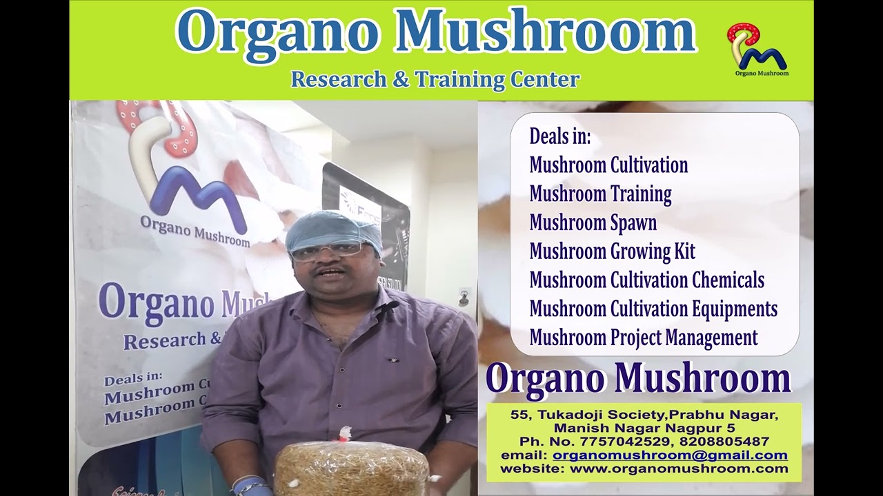 Oyster Mushroom Training