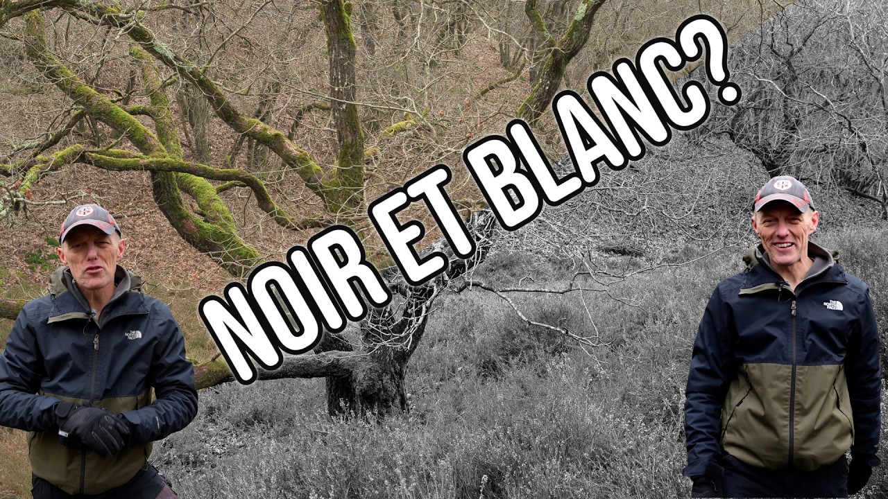 Je ne fais jamais de Noir et Blanc… Voici pourquoi j’ai changé d’avis