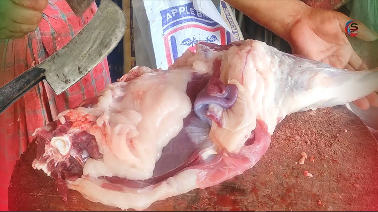 Full Goat Leg Cutting I Amazing Mutton Leg Cutting Video I Goat Meat Cutting Skills 2026 I