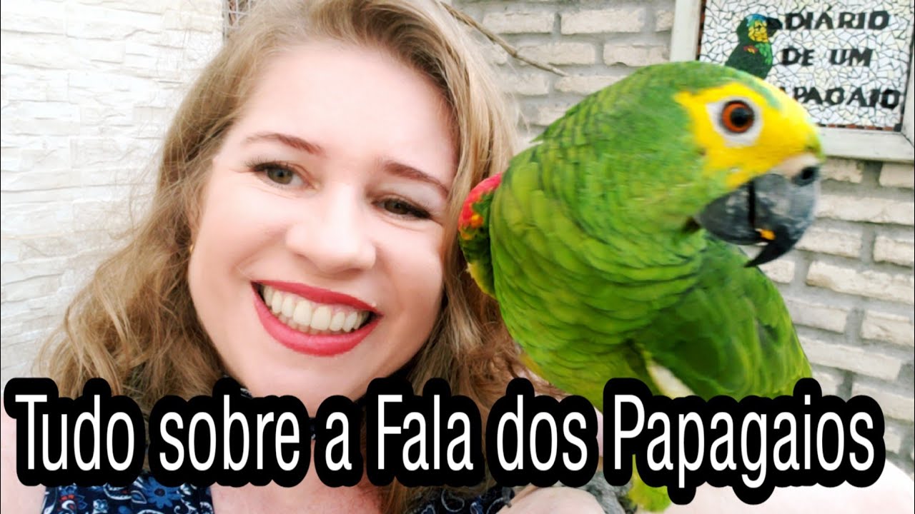 Tudo Sobre a Fala dos Papagaios