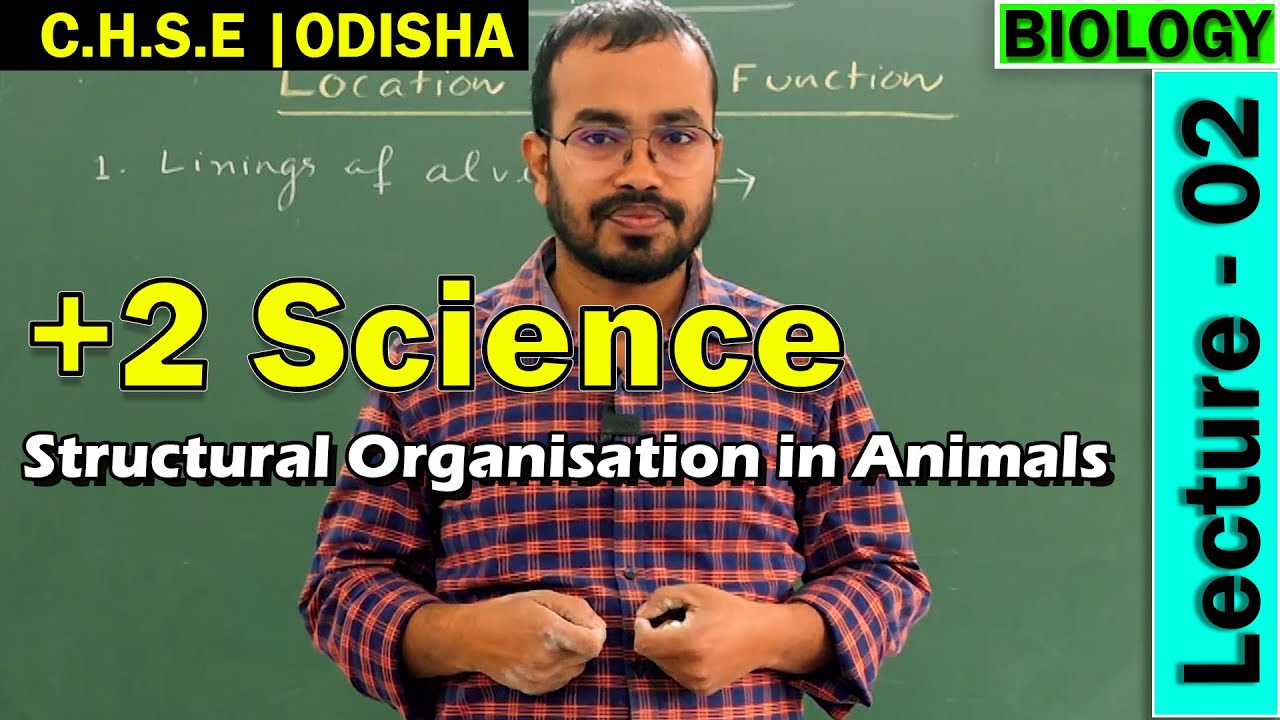 Simple Epithelium | Animal Kingdom | Bio| Class XI | +2 Science Online Classes | CHSE Odisha Board